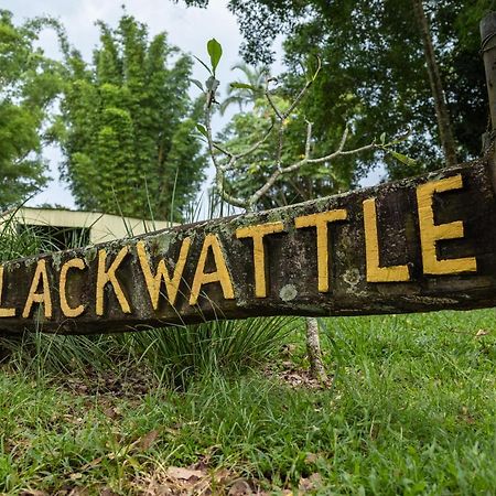 Blackwattle Farm Beerwah Exterior foto